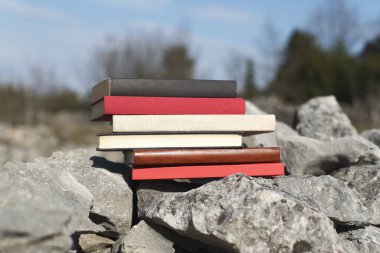 Taş duvardaki kitaplar.