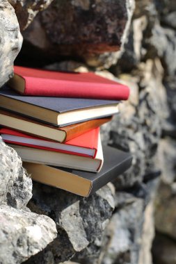 Taş duvardaki kitaplar.