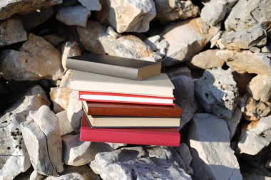 Taş duvardaki kitaplar.