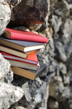 Taş duvardaki kitaplar.