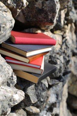 Taş duvardaki kitaplar.