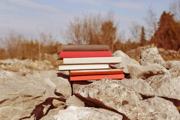 Books on the stone wall