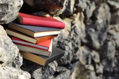 Taş duvardaki kitaplar.