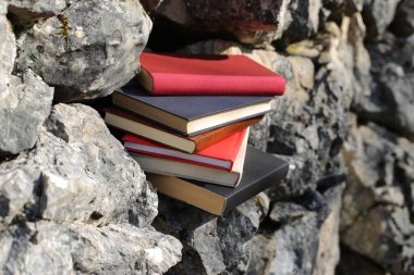 Taş duvardaki kitaplar.