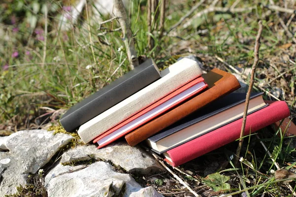 Books in nature in green grass