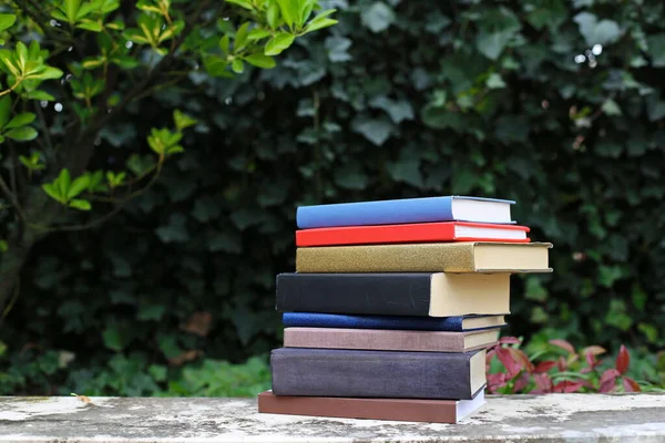 Bücher Der Gartenmauer — Stockfoto