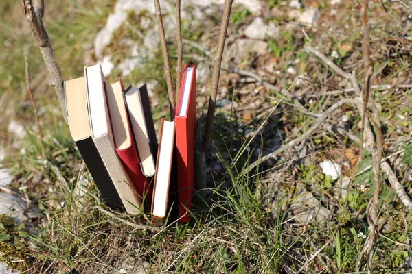 Books in nature in green grass