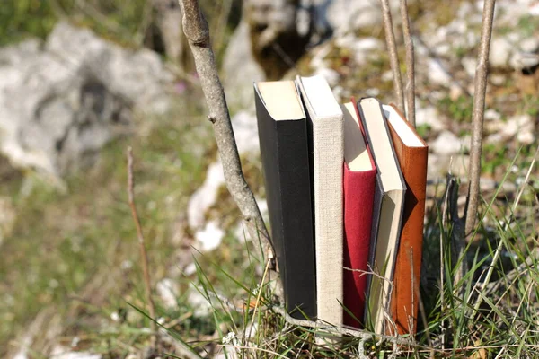 Βιβλία Στη Φύση Πράσινο Γρασίδι — Φωτογραφία Αρχείου