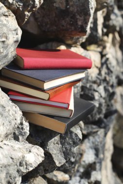 Taş duvardaki kitaplar.