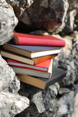 Taş duvardaki kitaplar.
