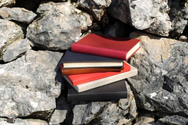 Taş duvardaki kitaplar.