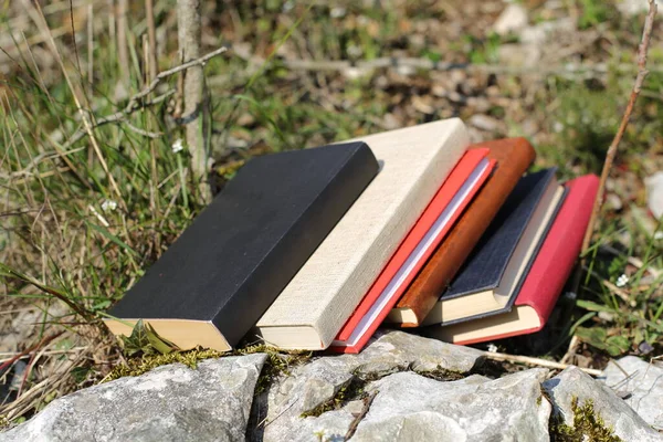 Books in nature in green grass