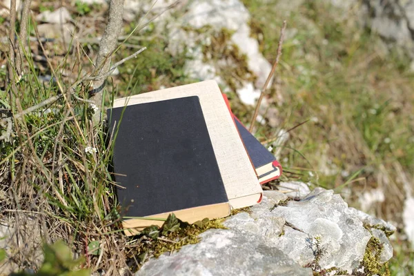 Books in nature in green grass