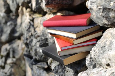 Taş duvardaki kitaplar.