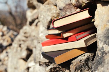 Taş duvardaki kitaplar.