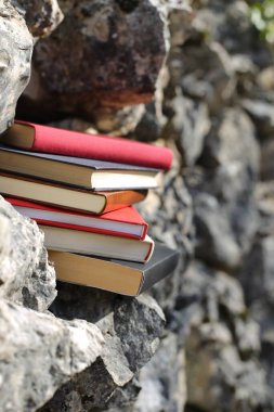 Taş duvardaki kitaplar.