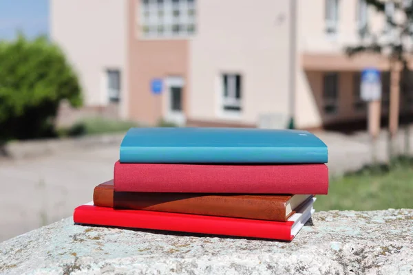 Books on the wall in front of the school