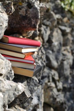 Taş duvardaki kitaplar.