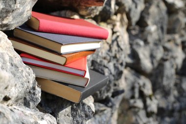 Taş duvardaki kitaplar.