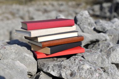 Taş duvardaki kitaplar.