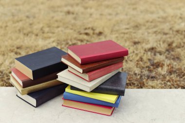 Okulun önündeki duvarda yığınla kitap var.