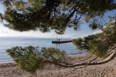 Hırvatistan 'da deniz kıyısında..