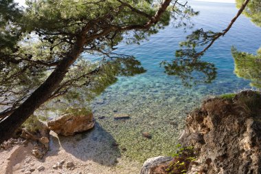 Hırvatistan 'da deniz kıyısında..