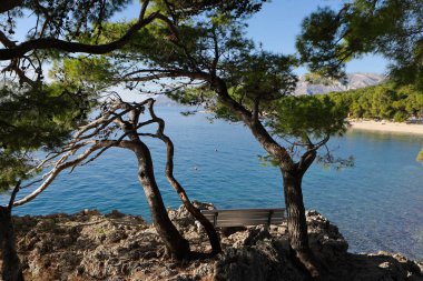 Hırvatistan 'da deniz kıyısında..