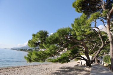 Hırvatistan 'da deniz kıyısında..