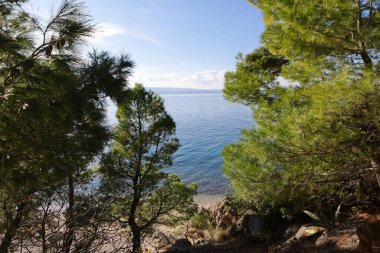 Hırvatistan 'da deniz kıyısında..