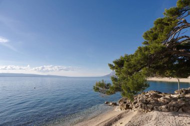 Hırvatistan 'da deniz kıyısında..
