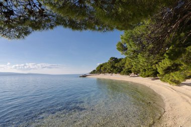 Hırvatistan 'da deniz kıyısında..