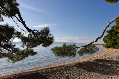 Hırvatistan 'da deniz kıyısında..