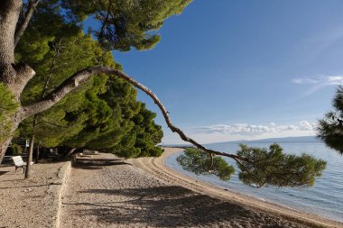 Hırvatistan 'da deniz kıyısında..