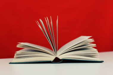 Beyaz arkaplanda kırmızı kitap