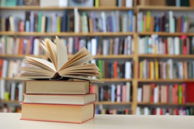 Görüntü, kitaplarla dolu geniş bir raf duvarını gösteriyor, ancak tüm sahne bilerek odak dışı kalmış, yumuşak ve bulanık bir etki yaratıyor. Raflar açık renkli ahşaptan yapılmış gibi görünüyor.,