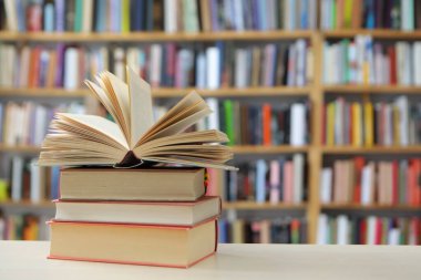 Görüntü, kitaplarla dolu geniş bir raf duvarını gösteriyor, ancak tüm sahne bilerek odak dışı kalmış, yumuşak ve bulanık bir etki yaratıyor. Raflar açık renkli ahşaptan yapılmış gibi görünüyor.,