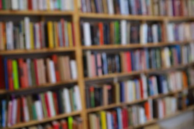 Görüntü, kitaplarla dolu geniş bir raf duvarını gösteriyor, ancak tüm sahne bilerek odak dışı kalmış, yumuşak ve bulanık bir etki yaratıyor. Raflar açık renkli ahşaptan yapılmış gibi görünüyor.,