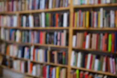 Görüntü, kitaplarla dolu geniş bir raf duvarını gösteriyor, ancak tüm sahne bilerek odak dışı kalmış, yumuşak ve bulanık bir etki yaratıyor. Raflar açık renkli ahşaptan yapılmış gibi görünüyor.,