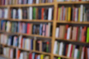 Görüntü, kitaplarla dolu geniş bir raf duvarını gösteriyor, ancak tüm sahne bilerek odak dışı kalmış, yumuşak ve bulanık bir etki yaratıyor. Raflar açık renkli ahşaptan yapılmış gibi görünüyor.,