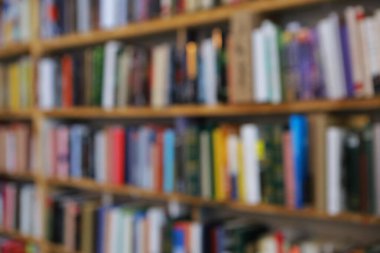 Görüntü, kitaplarla dolu geniş bir raf duvarını gösteriyor, ancak tüm sahne bilerek odak dışı kalmış, yumuşak ve bulanık bir etki yaratıyor. Raflar açık renkli ahşaptan yapılmış gibi görünüyor.,