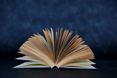 açık gri bir arka plan üzerinde kitap