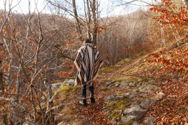 Güz ormanlarında kumral saçlı bekar bir kadın yürüyor, battaniyeyle kaplanmış..