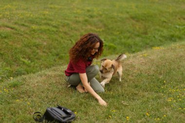 Parktaki yeşil çimenlerde oturan bir kadın sokak hayvanıyla oynuyor, açık havada izole edilmiş. Yatay görüş. Boşluğu kopyala.