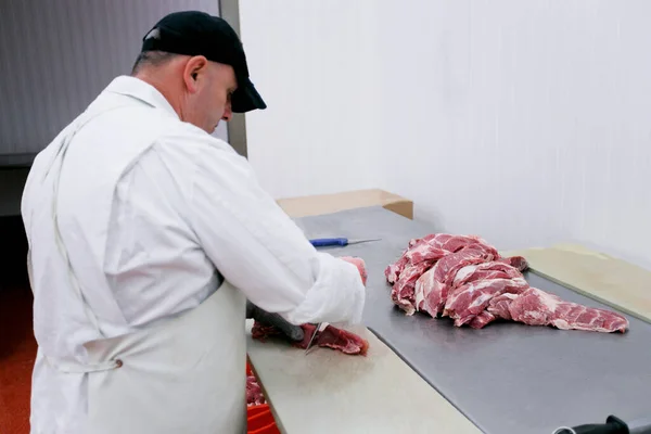 La espalda de un trabajador anónimo en la fábrica de carne, picado una carne de res en pedazos, la industria de un procesamiento y la producción de alimentos. — Foto de Stock