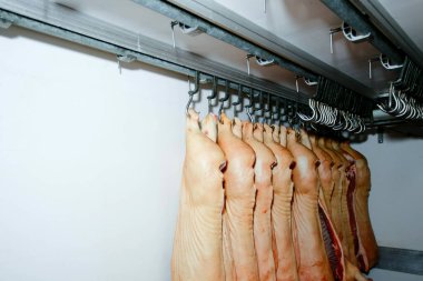 Bir sürü doğranmış çiğ domuz eti bir buzdolabında, bir fabrikada asılı duruyor ve işleniyor..