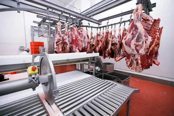 Una gran cantidad de carne cruda colgado y arreglado en una fila en una fábrica de producción de carne de procesamiento. Vista horizontal. — Foto de Stock