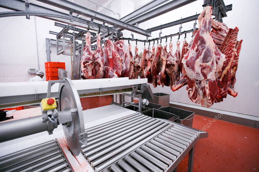 A lot of raw meat hung and arranged in a row in a processing meat production factory. Horizontal view.