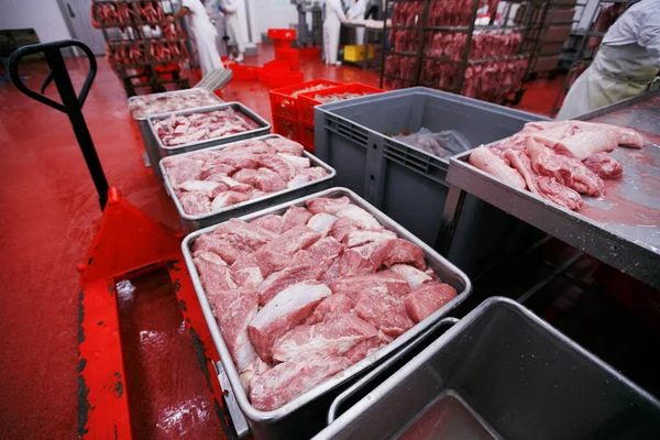 El proceso de almacenamiento de cortes de carne fresca en cajas de metal en la fábrica de carne, equipos de la industria, trabajador de la empresa cárnica. — Foto de Stock
