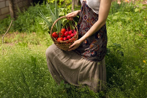 Eine Bäuerin hält einen Korb mit Bio-Gemüse, draußen, im grünen Garten. — Stockfoto